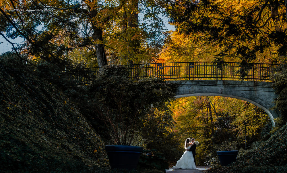 Alyona and Maksym (131 of 159)-31